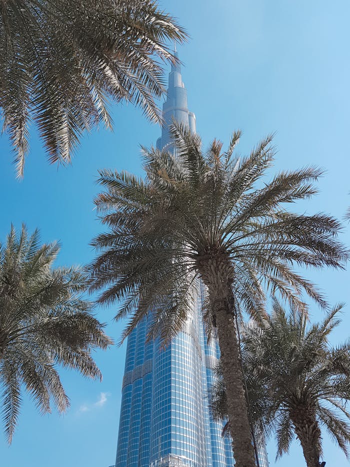 Trees Near Building